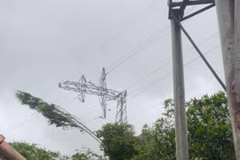 Hệ thống lưới điện bị hư hỏng nặng nề do bão số 3 Yagi