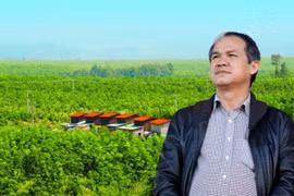 Ba đại gia phố núi lao đao giờ ra sao?