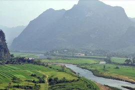 Quảng Bình: Chuyển đổi hơn 10ha rừng làm đường cứu hộ, cứu nạn