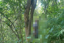 Một cán bộ ở Bà Rịa - Vũng Tàu tử vong nghi do tự tử