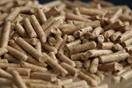 Gom cành cây gãy đổ do bão để làm viên nén xuất khẩu