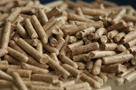 Gom cành cây gãy đổ do bão để làm viên nén xuất khẩu