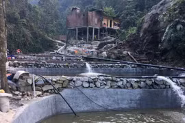 Nuôi cá nhà giàu, chàng trai mất trắng hàng chục tỷ đồng sau bão