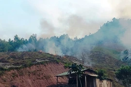 Quảng Trị: Người đàn ông bị ngạt khí tử vong khi đốt thực bì