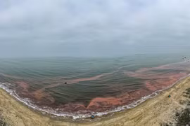 Nước biển ở Hà Tĩnh chuyển màu đỏ là do tảo nở hoa