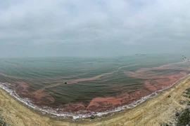 Nước biển ở Hà Tĩnh chuyển màu đỏ là do tảo nở hoa
