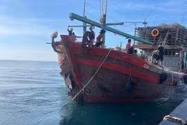 Cứu sống 8 ngư dân Quảng Bình gặp nạn trên biển