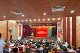 Đấu giá xuyên đêm, đất huyện ngoại thành Hà Nội có giá cao ngất ngưởng