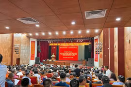 Đấu giá xuyên đêm, đất huyện ngoại thành Hà Nội có giá cao ngất ngưởng