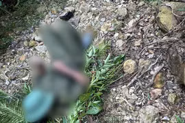 Tham gia chữa cháy rừng, người đàn ông tử vong do kiệt sức