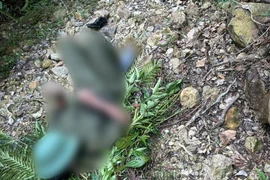 Tham gia chữa cháy rừng, người đàn ông tử vong do kiệt sức