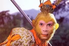 Tôn Ngộ Không là một trong ba đệ tử Bồ Đề Tổ Sư