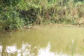 Rơi xuống ao nhà, cháu bé 2 tuổi đuối nước tử vong