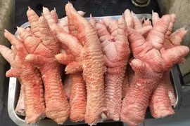 Na Việt giá siêu đắt, nho Trung Quốc chỉ 20.000 đồng/kg
