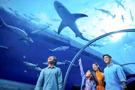 Cần lưu ý những gì khi đưa con đi du lịch Singapore dịp hè?