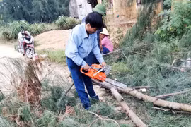 Hà Tĩnh: Lốc xoáy khiến nhà dân bị tốc mái, cây xanh gãy đổ