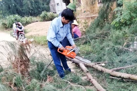 Hà Tĩnh: Lốc xoáy khiến nhà dân bị tốc mái, cây xanh gãy đổ