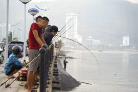 Nghề 'hot' sau bão ở Hạ Long, ngồi chơi cũng kiếm tiền triệu