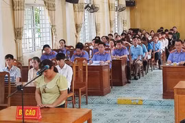 Mẹ lĩnh án vì giao xe cho con chưa đủ tuổi gây tai nạn