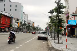 Loạt địa phương báo cáo gói thầu vụ Cây xanh Công Minh