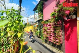 Cụ ông yêu màu hồng và niềm đam mê tái chế, bảo vệ môi trường