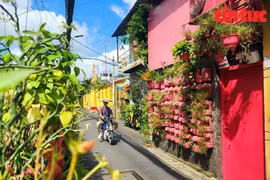 Cụ ông yêu màu hồng và niềm đam mê tái chế, bảo vệ môi trường