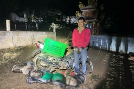 Bắt đối tượng vận chuyển 6 cá thể tê tê quý hiếm