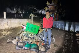 Bắt đối tượng vận chuyển 6 cá thể tê tê quý hiếm