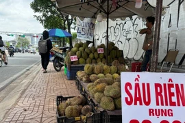 Thực hư sầu riêng 30.000 đồng/trái bán đầy vỉa hè TPHCM