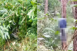 Vụ sát hại vợ và mẹ vợ ở Nghệ An: Nghi phạm treo cổ tự tử