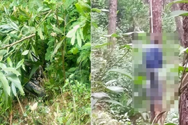 Vụ sát hại vợ và mẹ vợ ở Nghệ An: Nghi phạm treo cổ tự tử