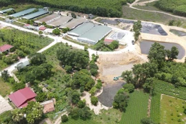 Gây ô nhiễm môi trường, một trại lợn bị phạt gần 300 triệu đồng