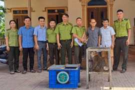 Vườn QG Vũ Quang tiếp nhận 2 cá thể động vật quý hiếm, nguy cấp