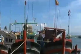 Ngân hàng cho ngư dân vay 10.000 tỷ để đóng tàu