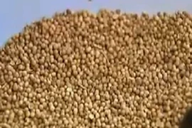 Cộng đồng mạng cùng gồng mình chống dịch sởi