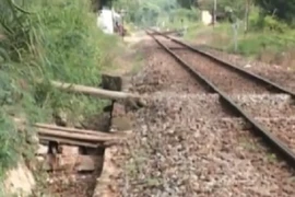 Những cái chết đau lòng từ đường ngang tự phát