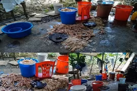 Kinh hãi công nghệ sản xuất nem chua Thanh Hóa