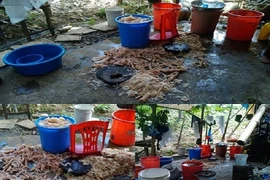 Kinh hãi công nghệ sản xuất nem chua Thanh Hóa