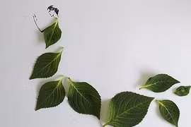 Dân mạng thích thú chùm ảnh: Đưa nghệ thuật vào lá (P2)