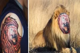 Phì cười với hình xăm “hổ, báo” của dân chơi