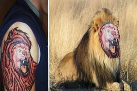 Phì cười với hình xăm “hổ, báo” của dân chơi