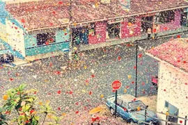 8 triệu cánh hoa sặc sỡ sắc màu bay trên trời