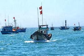 Ngư dân hạ thủy nhiều tàu cá công suất lớn ra khơi