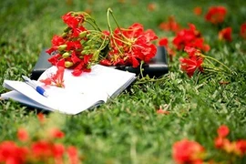 Màu hoa mùa chia ly