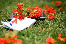 Màu hoa mùa chia ly