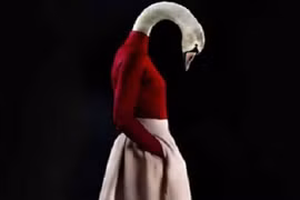 “Mê tít” bộ ảnh thời trang độc đáo của động vật