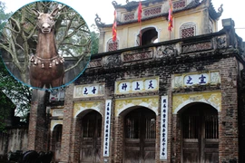 Cận cảnh ngựa, giáp, roi “lạ” ở đền Phù Đổng