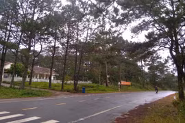 Kon Tum: Lựa chọn tổ chức đấu giá 38 thửa đất ở Măng Đen