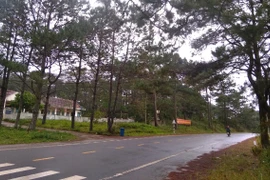 Kon Tum: Lựa chọn tổ chức đấu giá 38 thửa đất ở Măng Đen