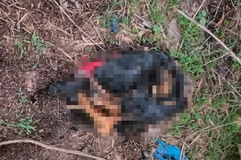 Vụ đôi chân bị đốt tại bãi đất trống ở Bình Dương: Nạn nhân là nam hay nữ? 